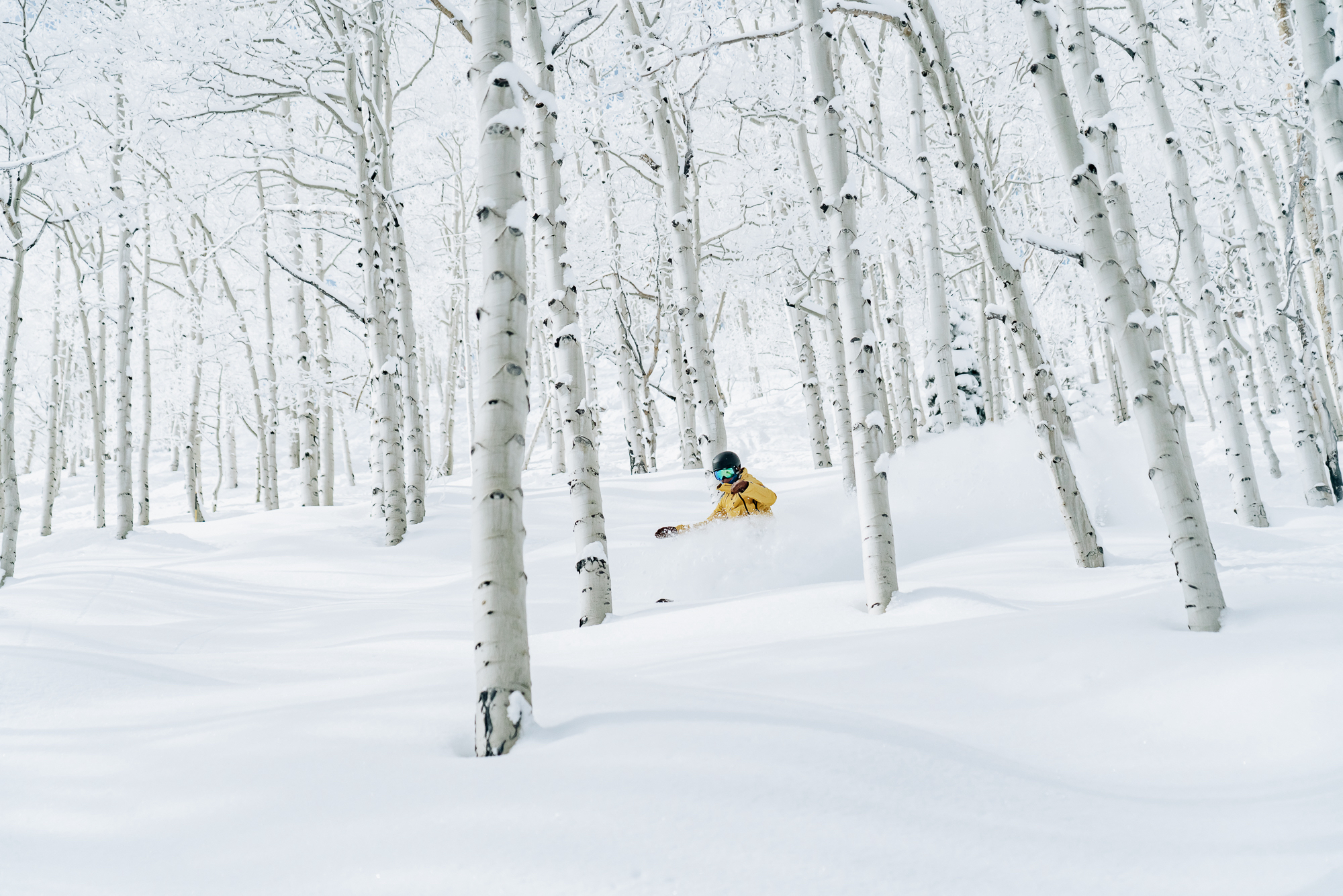 aspen highlands