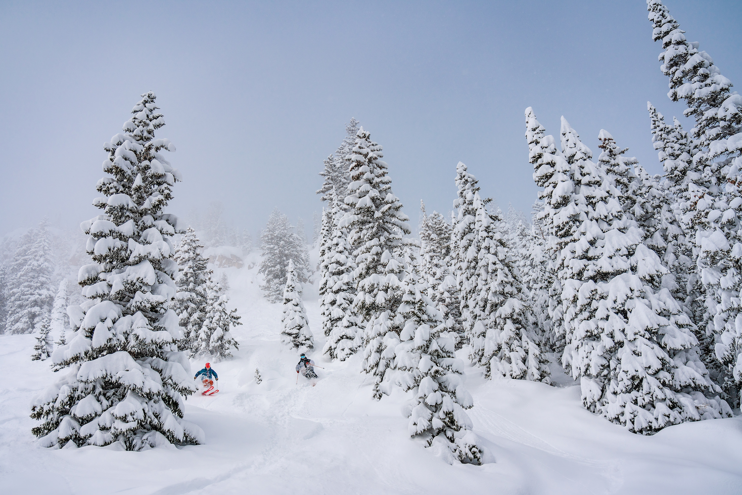 snowmass powder day