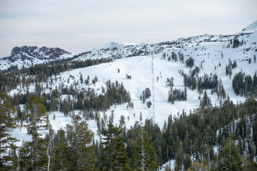 kirkwood