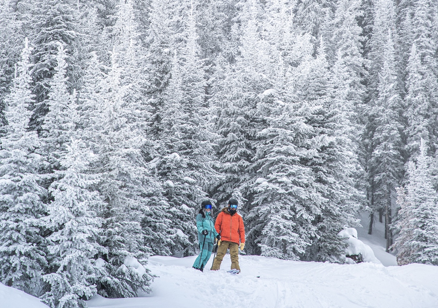 Ski Aspen Tour 2, 2027