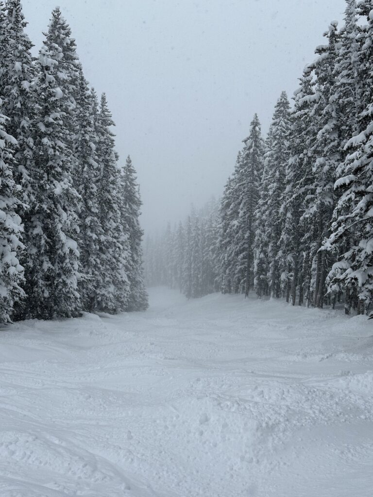 deep temerity aspen highlands